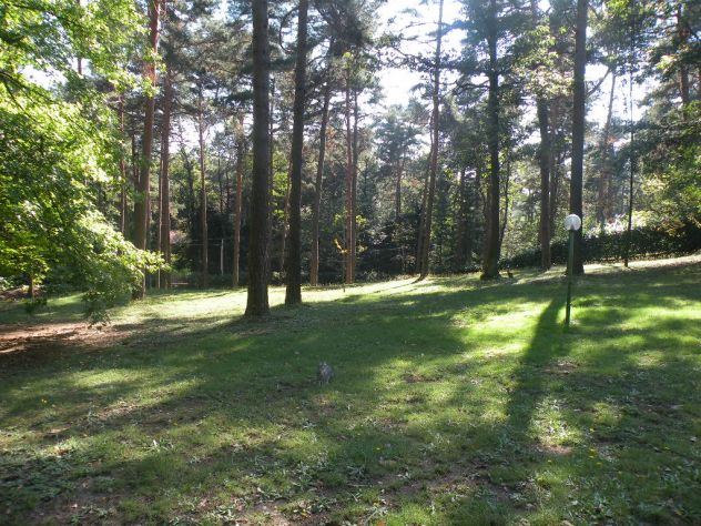 Ulti,o lotto edificabile in un bosco in tutta la Lombardia - Foto 6