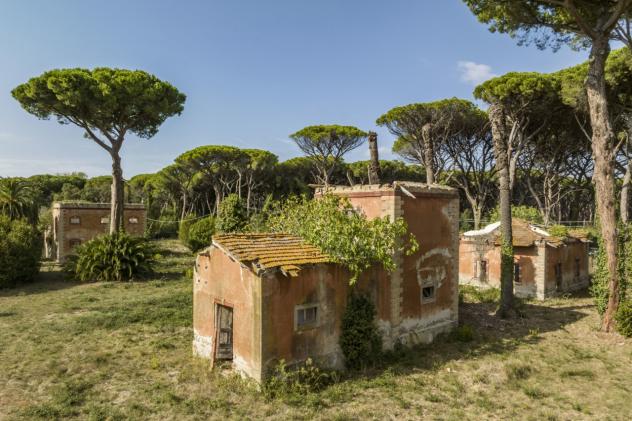 Casale in vendita a Castagneto Carducci - Foto 19