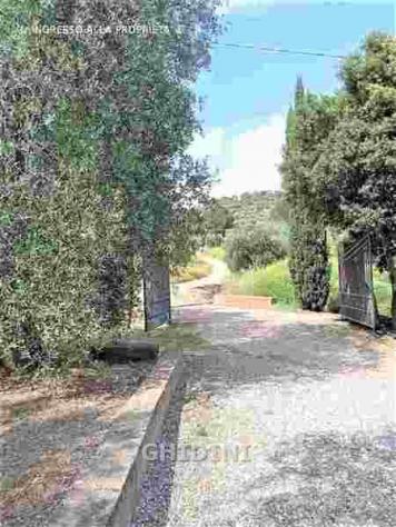 RUSTICO di 6 vani e di 146 mq (CASTIGLIONE DELLA PESCAIA - MACCHIASCANDONA) rif. 2389.3M - Foto 8