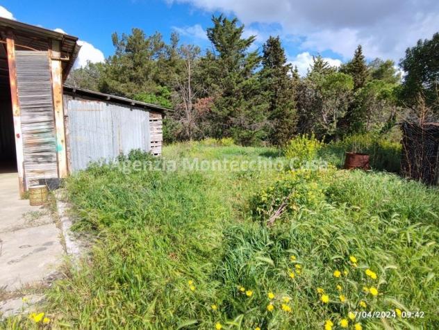 TIPICA CASA COLONICA MARCHIGIANA DI AMPIE DIMENSIONI CON LOCALI USO DEPOSITO E CORTE ESCLUSIVA CIRCOSTANTE - Foto 18