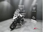 TRIUMPH Tiger GT PRO rif. 23527249