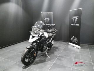 TRIUMPH Tiger GT PRO rif. 23527249