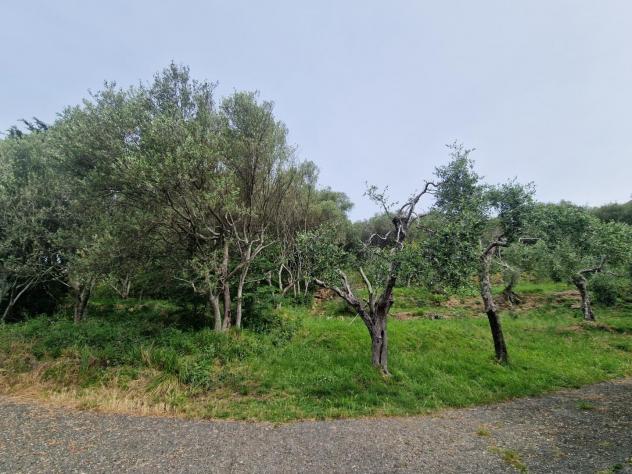 Terreno agricolo in vendita a Casano - Luni 2880 mq Rif: 1411550 - Foto 4