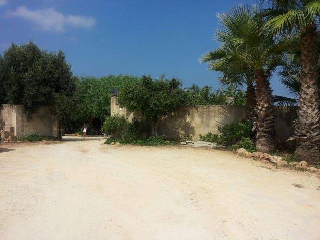 V1265 - In vendita a Marsala casa antica con terreno - Foto 5