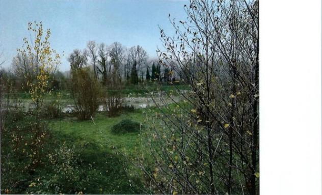 Immobile in asta di 70800 m² in vendita a Orte - Foto 5