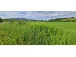 Terreno agricolo in vendita a Castellina Scalo - Monteriggioni 50000 mq  Ri &hellip;