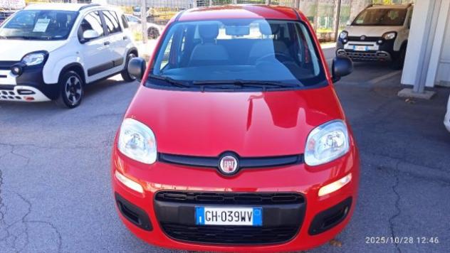 FIAT Panda 1.0 FireFly S&S Hybrid rif. 23002127 - Foto 7