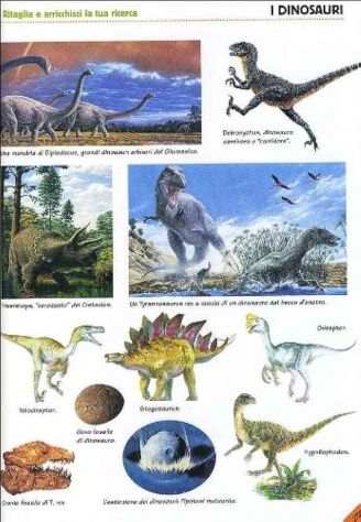 Preistoria.L'evoluzione della vita sulla terra di Michele Lauro 1°Ed.Giunti,2002 - Foto 2