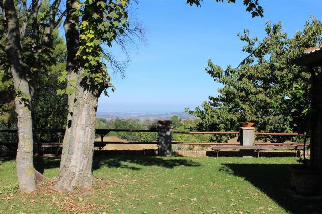 Casolare ristrutturato con vista panoramica, uliveto e garage – Un’oasi di pace tra colline e mare - Foto 17