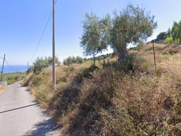 Immobile in asta di 5403 m² in vendita a Petralia Soprana - Foto 14