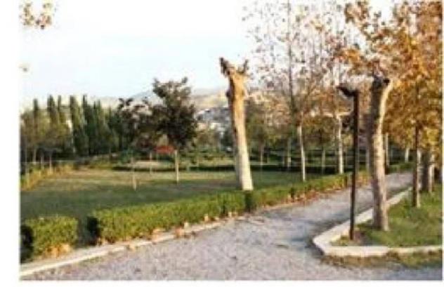 Immobile in asta di 191 m² con più di 5 locali in vendita a Terme Vigliatore - Foto 7
