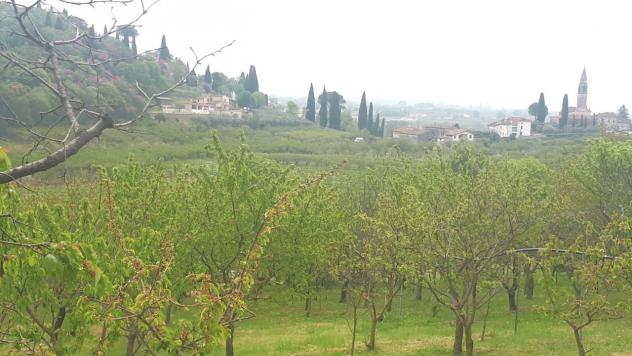 Seminativo in vendita a Castegnero - Foto 16