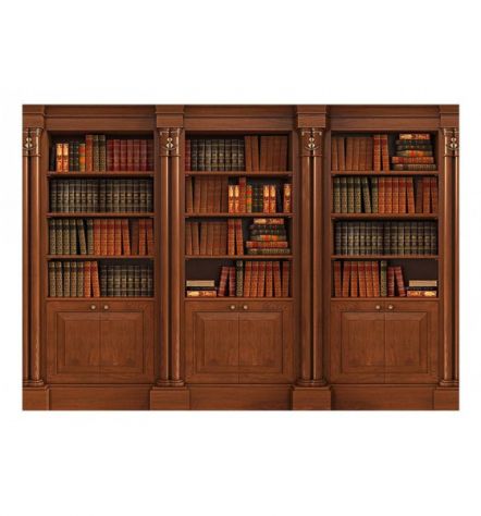Fotomurale Adesivo Con Una Libreria Elegante Arredalacasa - Foto 2
