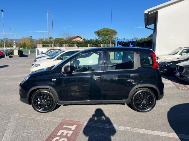 FIAT Panda Panda 1.0 FireFly S&S Hybrid - Foto 8