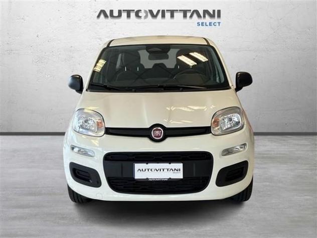 FIAT Panda Pandina 1.0 FireFly Hybrid 65cv Icon S&S 5p.ti rif. 24121707 - Foto 5