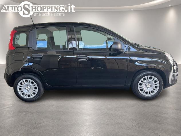FIAT Pandina Panda III 1.0 firefly hybrid Icon s&s 65cv 5p.ti - Foto 8