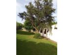 Villa Giorgia a piedi dalla spiagga in Sardegna