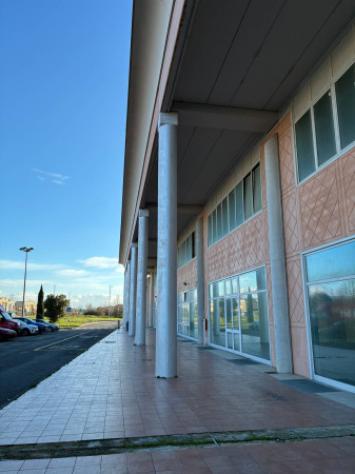 Immobile in asta di 2513 m² con più di 5 locali in vendita a Crespina e Lorenzana - Foto 19