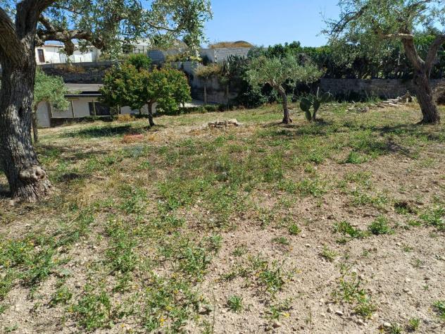 Terreno in vendita a Pachino - Foto 7