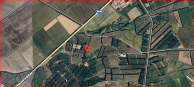 Immobile in asta di 18068 m² in vendita a Serramanna - Foto 12