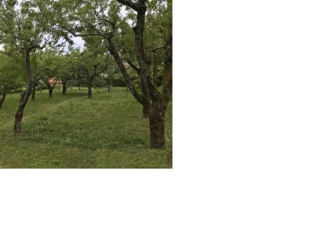 Agricolo in Via Cesinola - Foto 8