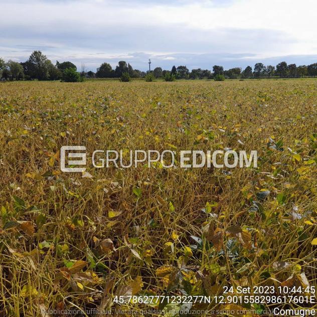 Terreno di 16800 mq in vendita a Fossalta di Portogruaro - Rif. 4551605 - Foto 5