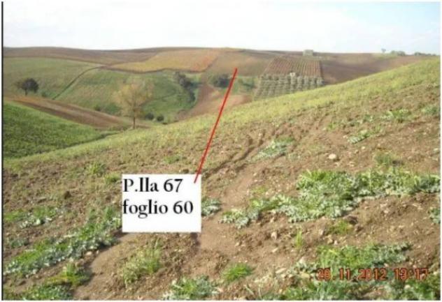 Immobile in asta di 65029 m² in vendita a Lavello - Foto 4