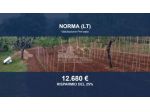 Immobile in asta di 4190 m² in vendita a Norma