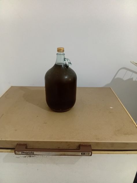 Vendo olio di oliva