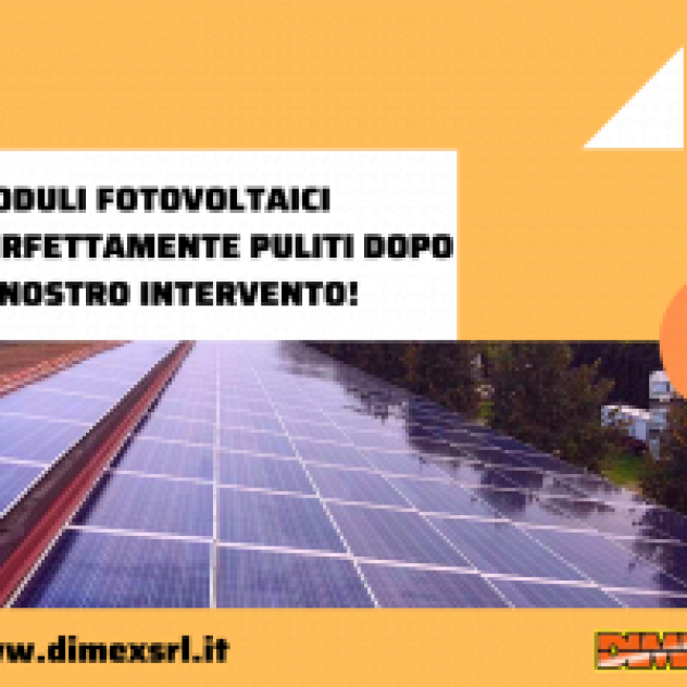 Dimex - Foto 4