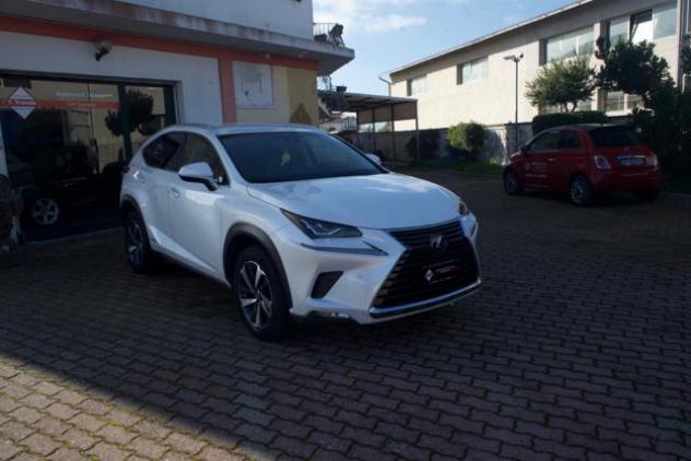 LEXUS NX 300 Hybrid 4WD Luxury rif. 24036338 - Foto 2