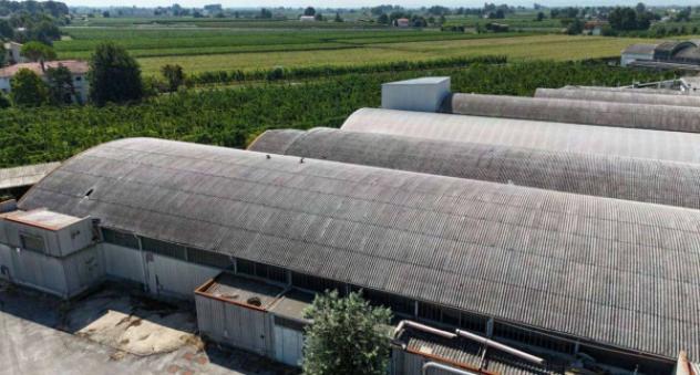 Immobile in asta di 8957 m² in vendita a Cotignola - Foto 2