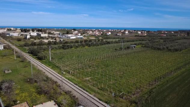Terratetto in vendita a San Vito Chietino - Foto 4