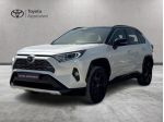 Toyota RAV4 V 2019 2.5 vvt-ie h Style awd-i 222cv e-cvt