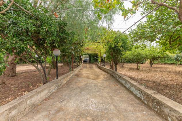 Casa Indipendente in vendita a Caltagirone - Foto 9
