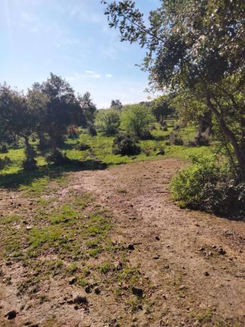 Terreno in vendita a Francofonte - Foto 11