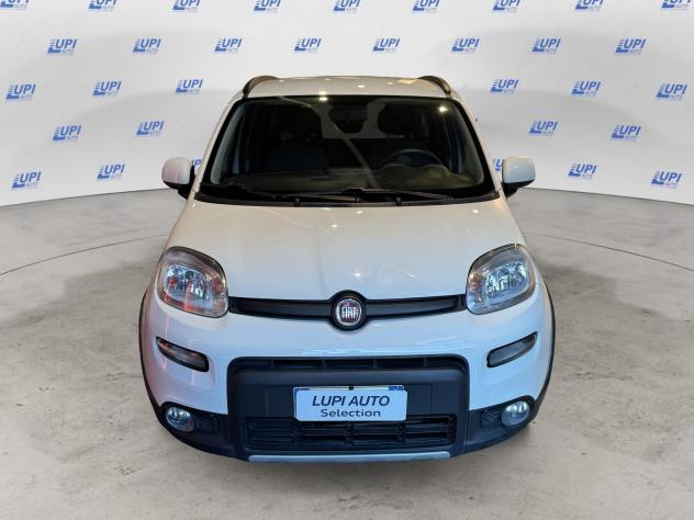 FIAT Panda 1.0 firefly hybrid City Life s&s 70cv 5p.ti - Foto 2