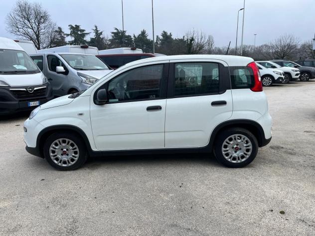 FIAT Panda Panda 1.0 FireFly S&S Hybrid - Foto 5