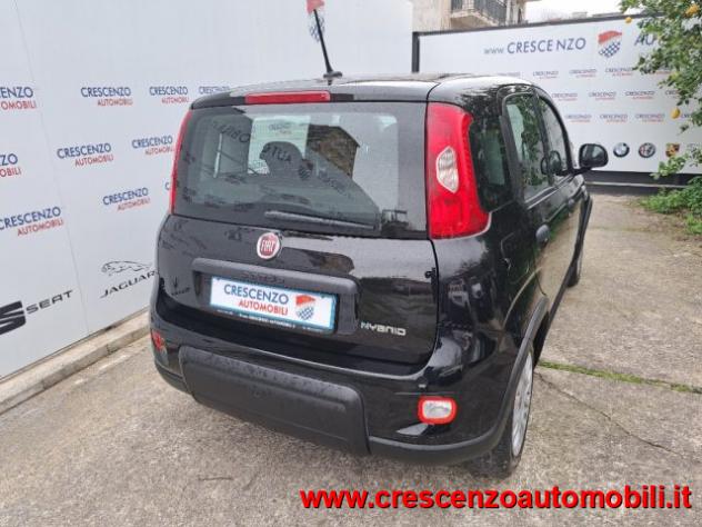 FIAT Panda 1.0 FireFly S&S Hybrid Pandina - AZIENDALE rif. 23794277 - Foto 10