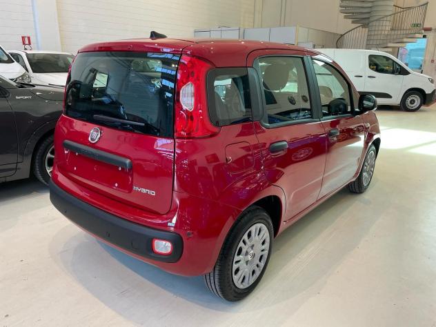 FIAT Panda 1.0 FireFly 70cv S&S Hybrid Icon - Foto 2