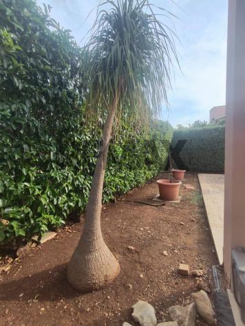 Villa singola in vendita a Siracusa, Tremmilia - Foto 16