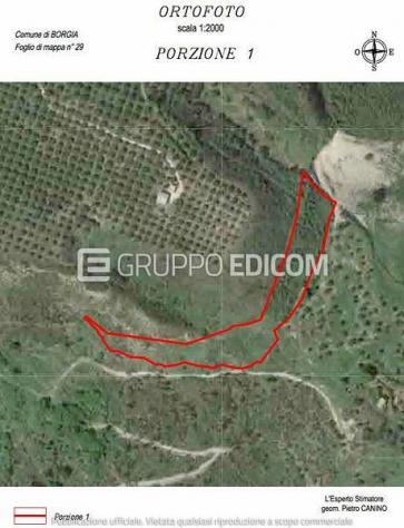 Terreno di 8570 mq in vendita a Borgia - Rif. 4555726 - Foto 2