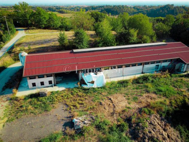 Rustico / Casale di 70000 m² con più di 5 locali in vendita a Fubine Monferrato