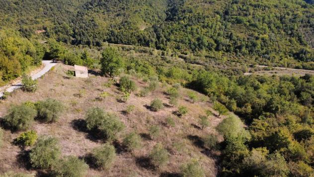 Agricolo in Serroni - Foto 15