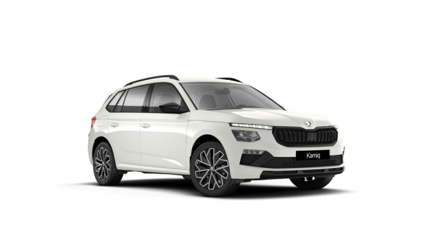 Škoda Kamiq Kamiq 1.0 TSI 115 CV DSG Black Dots
