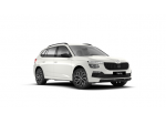Škoda Kamiq Kamiq 1.0 TSI 115 CV DSG Black Dots