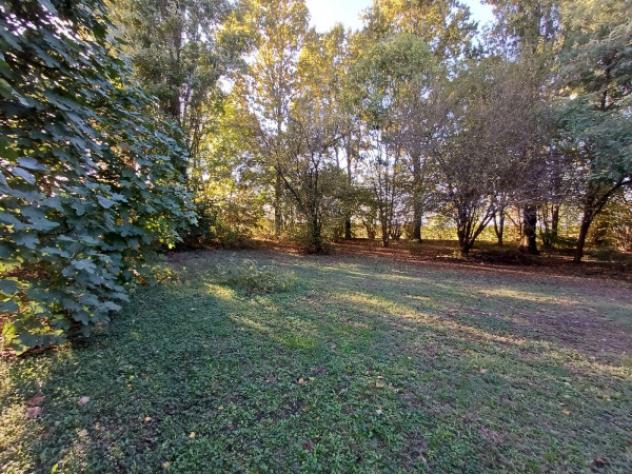 Villa di 231 m² con 5 locali e box auto doppio in vendita a Bomporto - Foto 6
