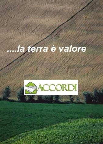 AREA EDIFICABILE di 1000 mq (MONTEBELLUNA) rif. ZT28H_50