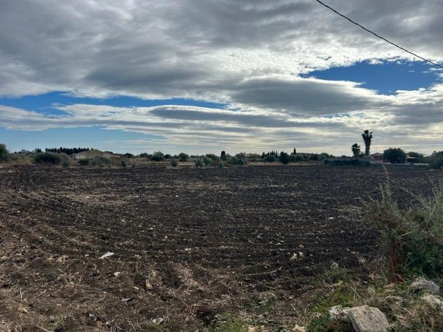 Seminativo in vendita a Siracusa - Foto 6
