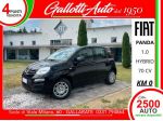 FIAT Panda 1.0 FireFly 70cv S&S Hybrid 5 posti